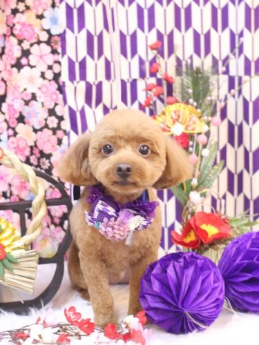 20250113ベルくん